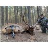 Image 1 : 2 Day Bull Elk Hunt for 1 Hunter and One Non-hunter at Big 5 Hunting Lodge in Three Springs, PA