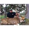 Image 2 : 3 Day Free Range Texas Axis Deer Hunt for 2 Hunters