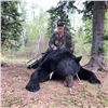 Image 2 : 5 Day Saskatchewan Bear Hunt for 1 Hunter