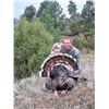 Image 2 : 2 Day Wyoming Fall Youth Turkey Hunt with Accompanying Adult