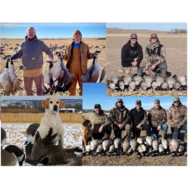 Hunt Package - Wyoming Goose Hunt
