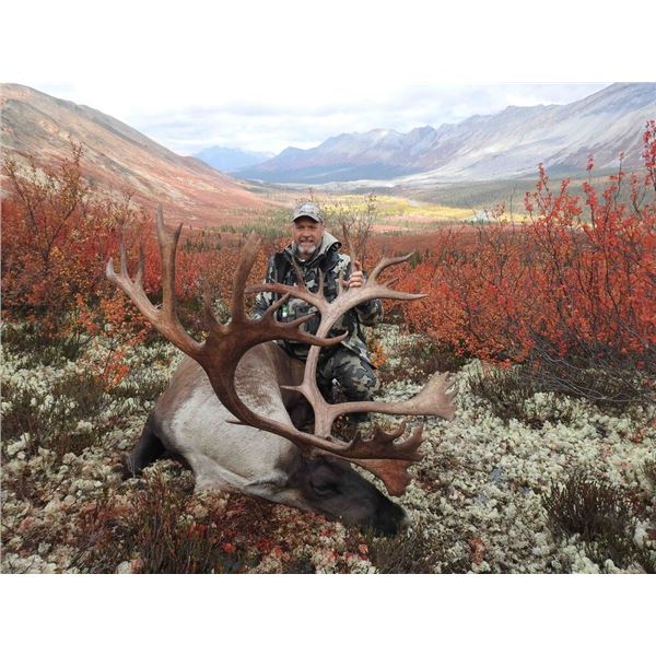 Yukon Dall Sheep Hunt Raffle