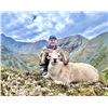 Image 2 : Yukon Dall Sheep Hunt Raffle