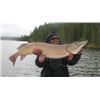 Image 2 : World Clas Canadian Fishing Package for 2
