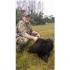 Image 2 : 2 Day Thermal Wild Hog Hunt in Florida