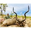 Image 1 : Kudu, Impala, and Warthog hunt in South Africa for Two hunters Bosveld Jacobs Safaris