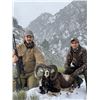 Image 2 : Five Days of Hunting Spain for Two Hunters & Two Non-Hunters Wild hunting Spain