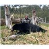 Image 1 : 7 Day Alaskan Boat Based Black Bear for Four     Alaska’s Valhalla Guide Service