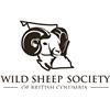 Image 1 : Wild Sheep Society of British Columbia Life Membership, T-Shirt, Hat and Challenge coin.