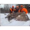 Image 2 : 5-Day Northern Wisconsin Whitetail Rifle Hunt Link’s Wild Safaris