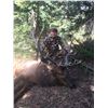 Image 2 : Elk Drop Camp for 2 Hunters in Montana Centennial Outfitters