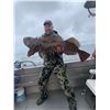 Image 2 : Alaska Fishing for Two Fishermen Gone Again Charters