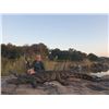 Image 1 : 2 Crocodiles for Two Hunters and Two Non-Hunters Sensational Hunting Safaris