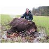 Image 2 : 10 Day Alaskan Brown Bear Hunt