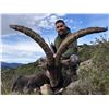 Image 2 : Beceite Ibex Hunt in Spain for 1 Hunter       La Espadella Hunting in Spain