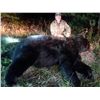 Image 12 : Guided Black Bear Hunt in MN                  Minnesota Big Bear Specialist