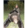Image 14 : Guided Black Bear Hunt in MN                  Minnesota Big Bear Specialist