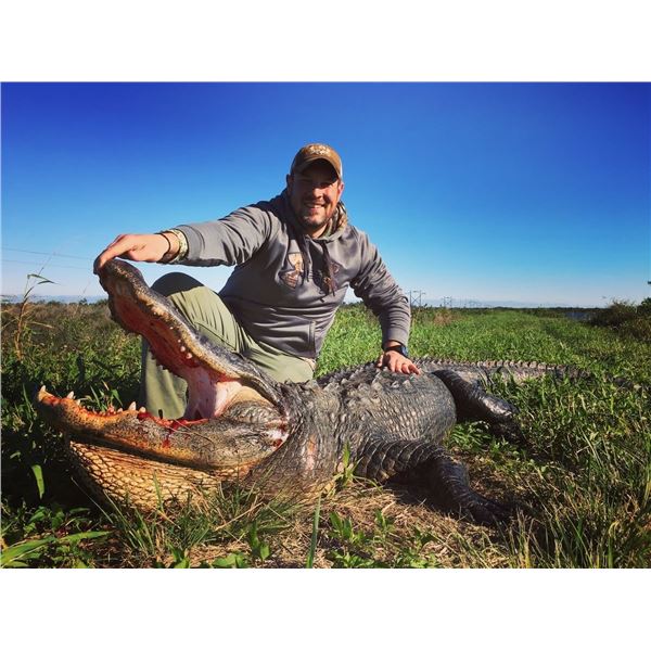 2 Day Alligator Hunt In Florida North American Outdoor Adventures