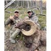 Image 3 : 2023 WYOMING GOVERNOR’S ROCKY MOUNTAIN BIGHORN SHEEP LICENSE