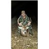 Image 1 : Trophy Whitetail Hunt in Kansas for 2 hunters Bell Wildlife Specialties