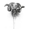 Image 1 : Charcoal Original - Hangay Argali Joshua Spies Fine Artwork