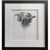 Image 2 : Charcoal Original - Hangay Argali Joshua Spies Fine Artwork
