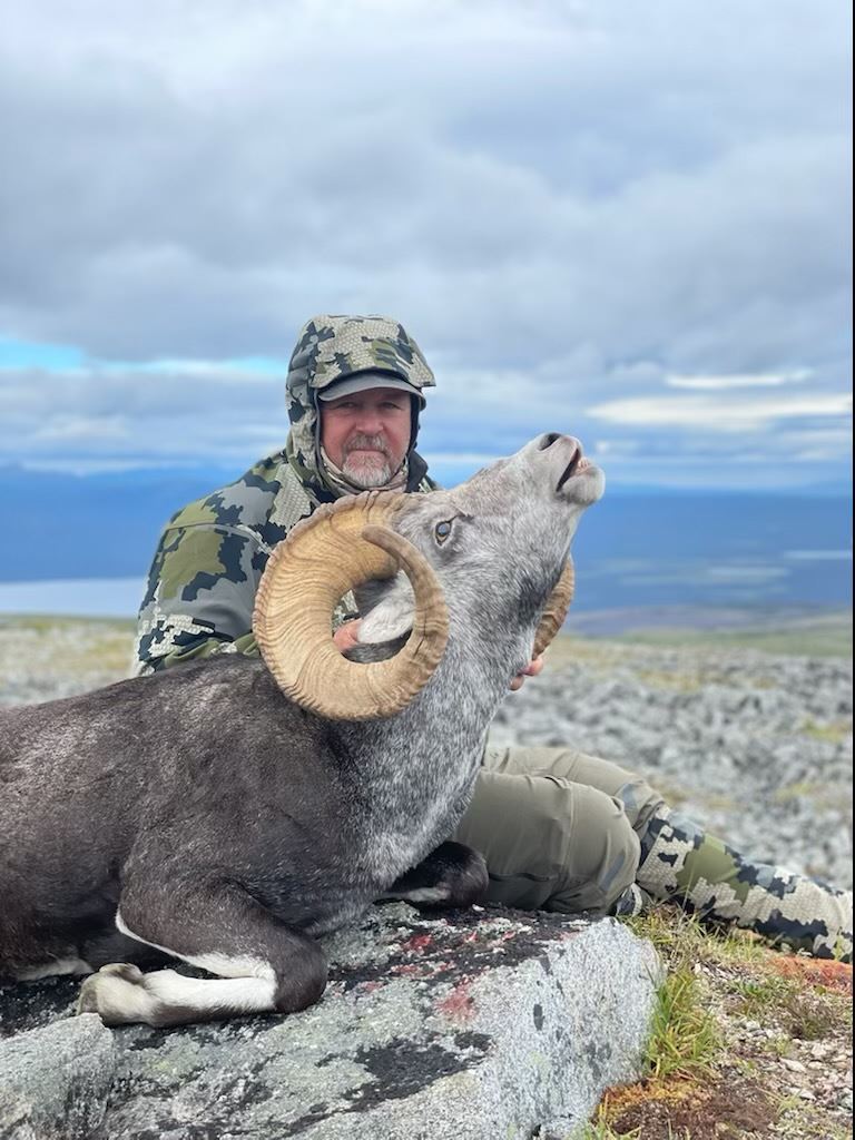 Yukon Stone Sheep Hunt Yukon Big Game Outfitters