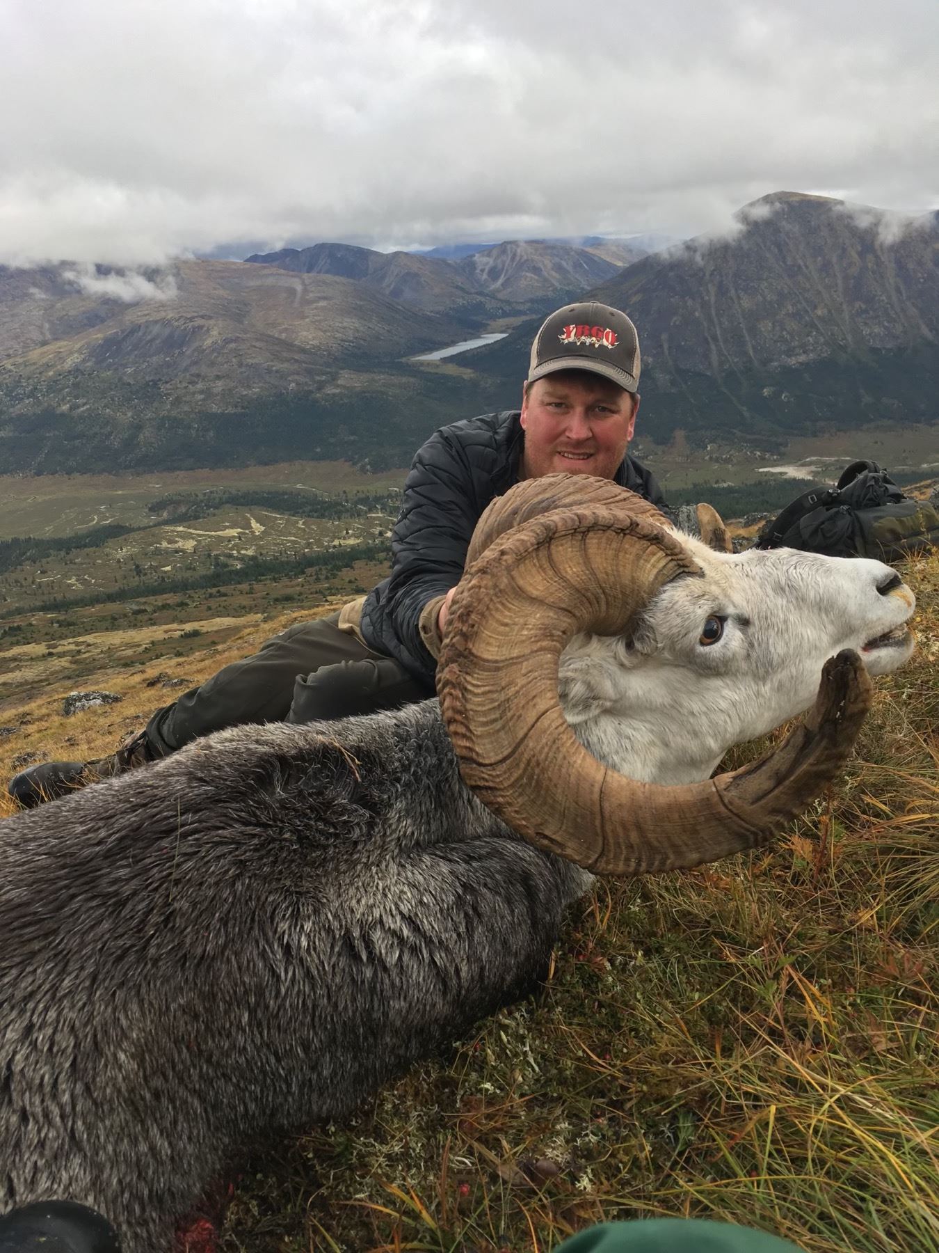 Yukon Stone Sheep Hunt Yukon Big Game Outfitters