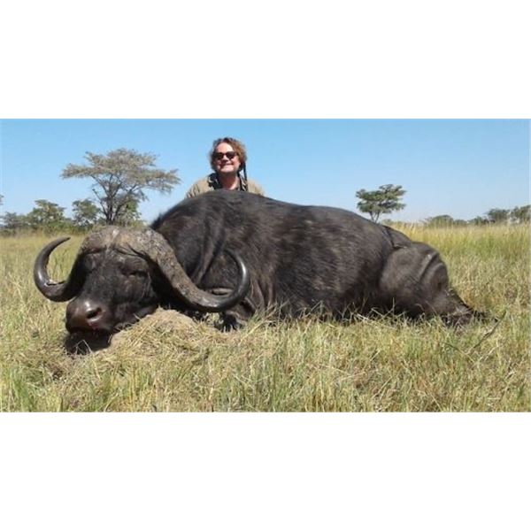 7 Day Cape Buffalo in Tanzania Link’s Wild Safaris