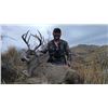 Image 1 : Southern Arizona Coues Deer hunt for Two Hunters.     Ward’s Outfitters
