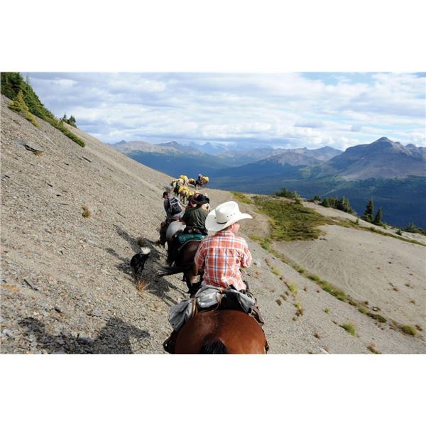 Spectacular Canadian Rockies on Horseback - Bighorn Sheep Scouting & Viewing Sherwood Outfitters