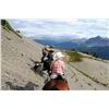 Image 1 : Spectacular Canadian Rockies on Horseback - Bighorn Sheep Scouting & Viewing Sherwood Outfitters
