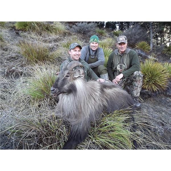 Southern Mountain Adventures NZ  Southern Mountain Adventures