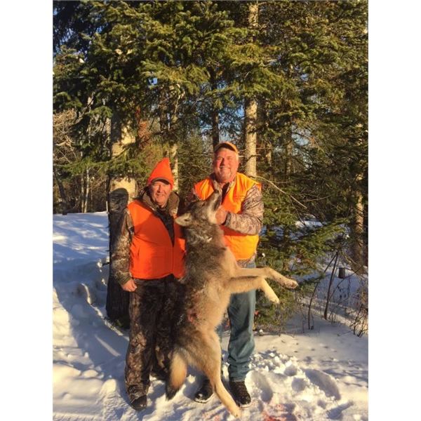 7 Day Wolf Hunt and Ice Fishing for Two    Nolalu Outfitters