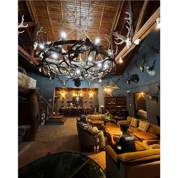 Argentina Hunt for 3 Hunters - Black Buck, Wild Boar, Dorset Ram w/Golden Dorado Option Catena Safar