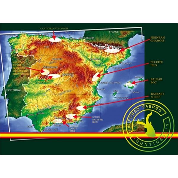 Hunt Best Available Trophies in Spain