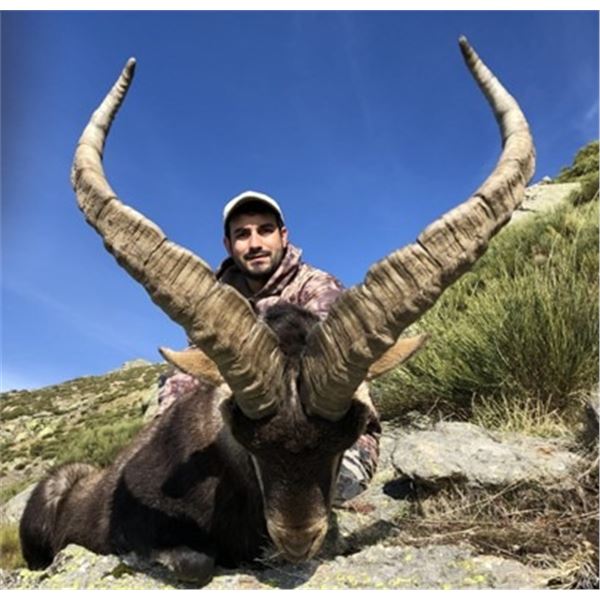 Spanish Big Game Hunt