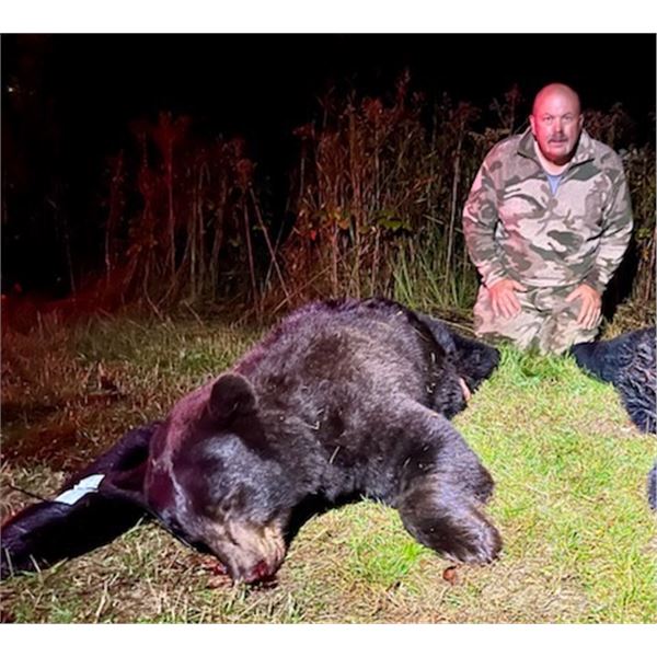 Minnesota Big Bear Specialist