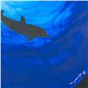 Image 2 : Blue Sea Dolphin by Wyland Original