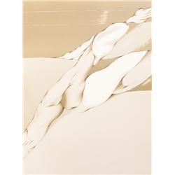 Mario Toral, Abstract Lithograph