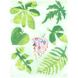 Otavio Roth, Medicinal Plants - United Nations, Lithograph 