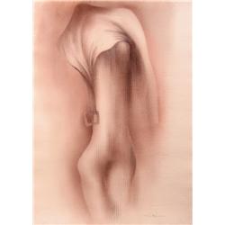 Roberto Estopiñan, Camilla Claudel, Drawing