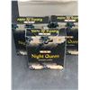 Image 2 : Night Queen Incense Cones and Holder