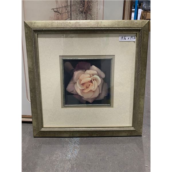 19.5in x 19.5in Framed Floral Print