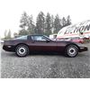 Image 13 : C6E --  1984 CHEVROLET CORVETTE, Purple, 106638 KM