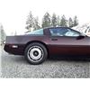 Image 48 : C6E --  1984 CHEVROLET CORVETTE, Purple, 106638 KM