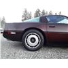 Image 49 : C6E --  1984 CHEVROLET CORVETTE, Purple, 106638 KM