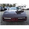 Image 6 : C6E --  1984 CHEVROLET CORVETTE, Purple, 106638 KM