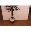 Image 2 : *Artificial Tree w/ Lights (Working)