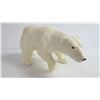 Image 2 : Polar Bear